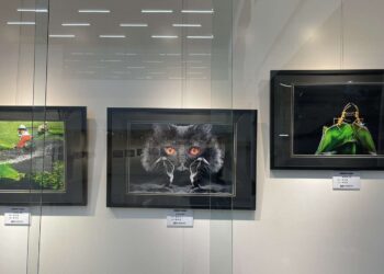 雲林縣攝影學會113年會員聯展廣受好評　邀您共賞雲林之美