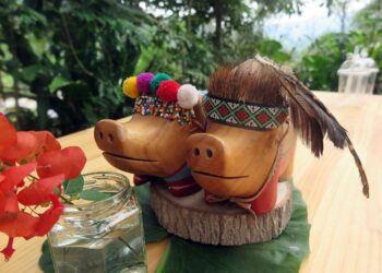 嘉義縣螢火蟲復育有成　5月限定親子賞螢贈好禮