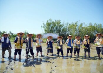 春風捎來「蛇全蛇美」　關渡彩繪稻田再掀農村藝術熱潮