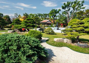 全台唯一日系落羽松秘境　春遊成美文化園踏入金黃色夢幻森林