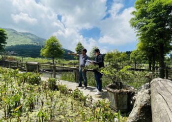 守護珍稀物種赤腹游蛇 官民攜手保育現成果