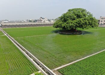 彰縣農地重劃區抵費地及零星集中土地標售　機會有限歡迎鄉親踴躍投標