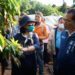 荔枝不開花恐影響收成 立委蘇清泉堪災允儘速協助