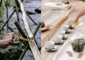 走進綠色療癒世界 新北「茶山繚療」揭開Tea Way之旅