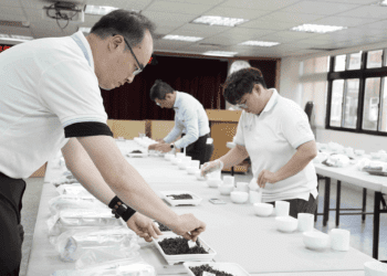 三峽碧螺春評鑑揭曉　柑仔園茶園奪特等獎