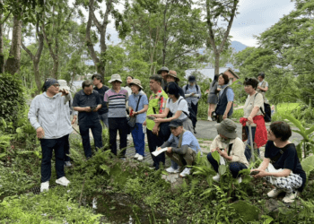 新北復育螢火蟲成功吸引國際關注 韓國保育團隊專程來訪