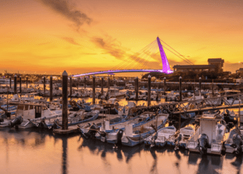 《Pokémon GO》10條官方路線新北線 探索城市還享住宿優惠