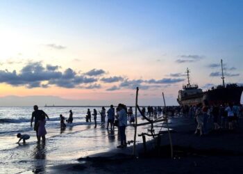 黃金海岸蘇菲亞號貨輪意外成為遊客網路打卡熱門景點李啟維建議就地保留