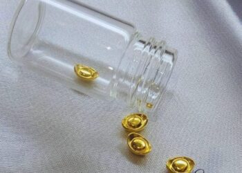 Didigo迪迪購雙11衝刺雙12 打造購物創業雙贏體驗