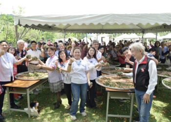 春遊三鶯體驗三峽藍染與茶之美  新北藍茶藝術季登場！