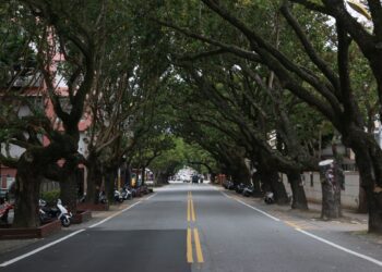 瓊崖海棠綠廊景觀改善完成 串聯美崙溪河濱公園祕境吸睛