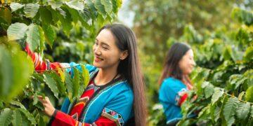 2026台灣燈會形象影片點閱破百萬　科技與傳統交織引共鳴