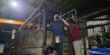 新北養豬場遭重罰百萬 違規餵食廚餘 補助全數取消得不償失