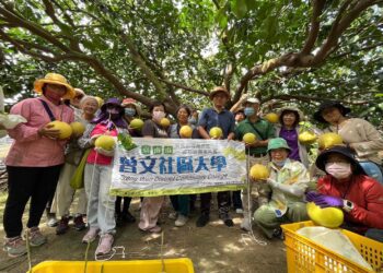 曾文社大舉辦「柚見未來」食農教育課程　邀請柚農分享種植及銷售經驗