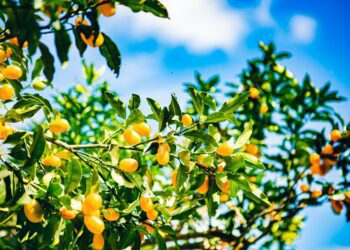 宜蘭竄紅微醺酒香森林秘境　春季最適合上班族的療癒系景點