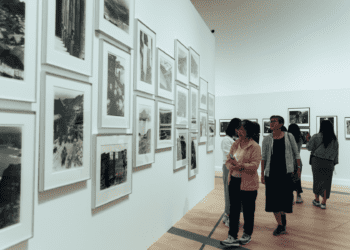 藝術迷必訪!新北市美術館開館 六週系列活動、四大展覽接力登場