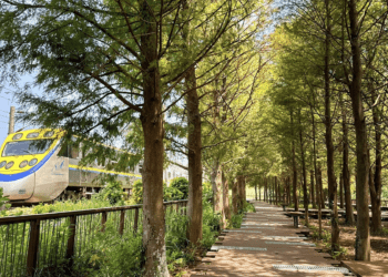 低碳旅遊正夯 新北觀旅局推「山海線」帶你體驗自然之美