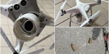 影音/竟用空拍機投毒害死可愛動物 男子遭起訴求重刑