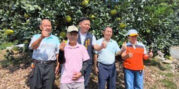 影音/時序進入霜降白柚進入盛產期 二水鄉農會邀民品嘗在地白柚好滋味
