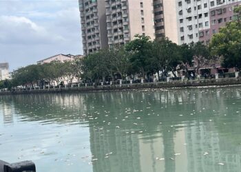 康芮颱風造成運河滿是魚屍李啟維議員呼籲南市府要做好雨污分流