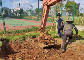 新北市綠意守護者 樹木保護委員會召開 推動樹木遷植與保護計畫