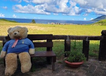 開心放暑假享優惠　7/1起鹽寮海濱園區12歲以下兒童免費入園