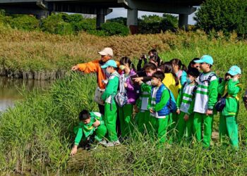 探索五股濕樂園 環保局濕地故事館與蘆洲成功國小攜手培養環境愛好者