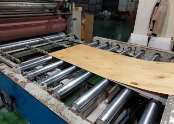 產官學合作　太平山人工林製成臺灣首件檜木耐燃板