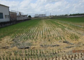 彰化分署卦山法拍市集聯合拍賣會　10／3日做伙逛市集搶好康