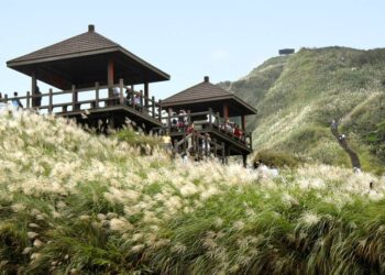 東北角秋遊芒花季登場！ 台灣好行東北角套票深入探索山海風光