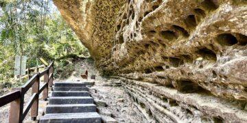 花瀑與星光接力登場　春訪瑞里賞紫藤、觀螢火蟲