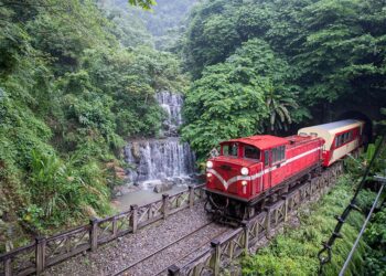 連假出遊首選　搭阿里山小火車漫遊雲霧森林