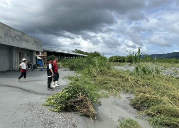 馬太鞍溪堰塞湖潰堤災情嚴重 花縣府協助農糧、畜牧業復原