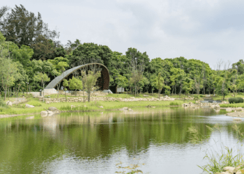 張善政鼓勵市民參與生態保育 大湳森林公園成為生態樂園