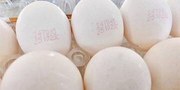 「食不安心」！彰化「毒雞蛋」流入9縣市 15萬顆可能已通通被吃下肚