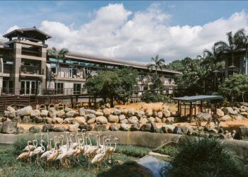 關西六福莊動物派對登場！打造全新親子探險之旅 探索動物生態 親子必訪3大主題房型