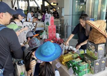 新北「微笑山線Party Day」11/8深坑登場 免費玩闖關、抽樂高