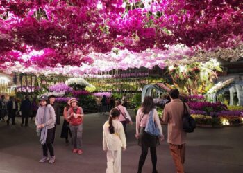 2025花在彰化走春趣　南花北燈吸204萬人次