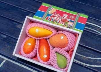 阿芳老師為臺南國際芒果節站台　 6/22芒果節開跑 主打美味芒果、精彩臺南