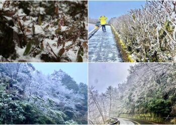 持續低溫白了山頭　太平山迎來今年第一場冰霰