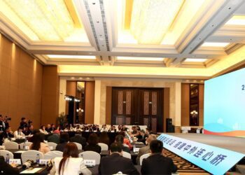 王輝丹希望「民國非物質文化遺產傳承人」概念　成為和平解決臺海問題的方案之一