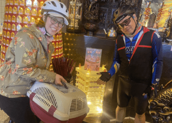 元宵節愛心認養會 新北市動保處贈寵物平安燈 成功認養者還可獲得認養大禮包