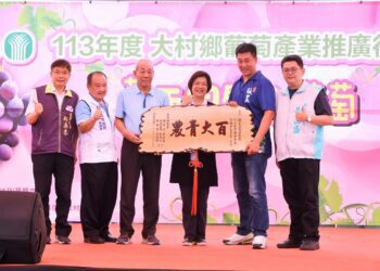 「吃當季買在地」大村鄉農會推廣葡萄　來彰化吃葡萄正著時!