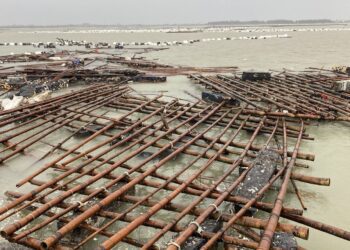 凱米颱風重創牡蠣養殖　嘉義縣農損初估1億6200萬元