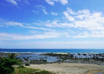 走訪台東海岸漁港、漁村　探索休閒漁業的魅力