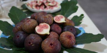 雲林推動智慧農業有成　無花果良率提升至95%