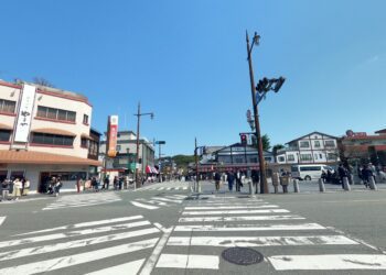 國人放鬆身心靈出國自駕旅遊　別忘了要攜帶國際駕照