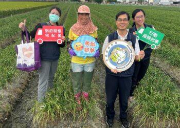 溪湖新住民勤耕韭菜花田　用雙手摘出雙學霸
