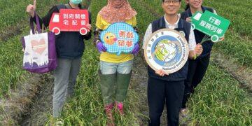 溪湖新住民勤耕韭菜花田 用雙手摘出雙學霸