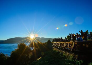 嘉縣年度旅遊調查　阿里山奪得人氣第一名